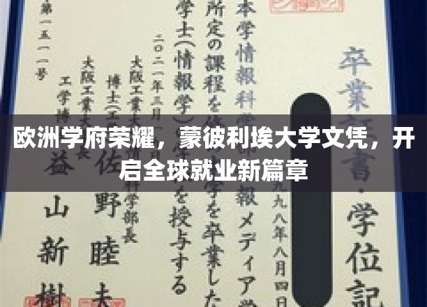 欧洲精英教育殿堂，蒙彼利埃大学文凭，助力国际职场梦想起航