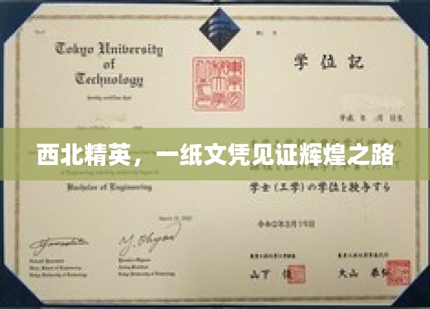 西北骄子，学历证书映照辉煌人生轨迹