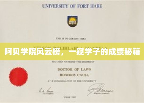 阿贝学院风云榜，一窥学子的成绩秘籍