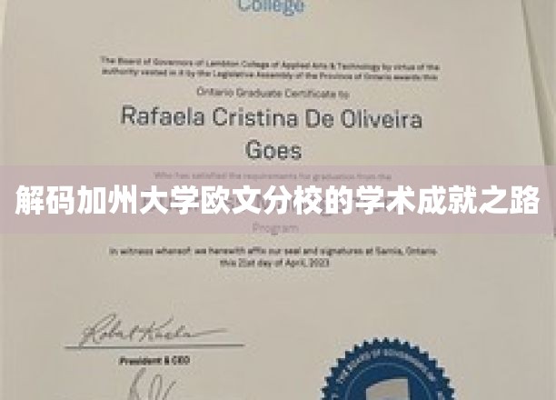 解码加州大学欧文分校的学术成就之路