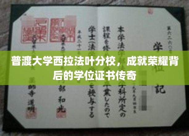 普渡荣耀见证，西拉法叶分校学位证书的传奇之路