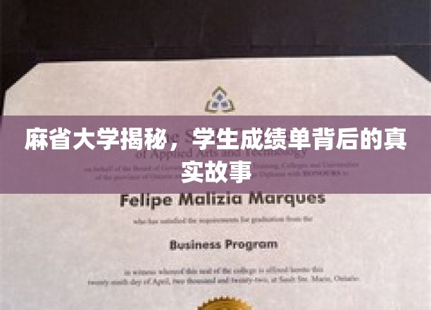 麻省大学揭秘，学生成绩单背后的真实故事