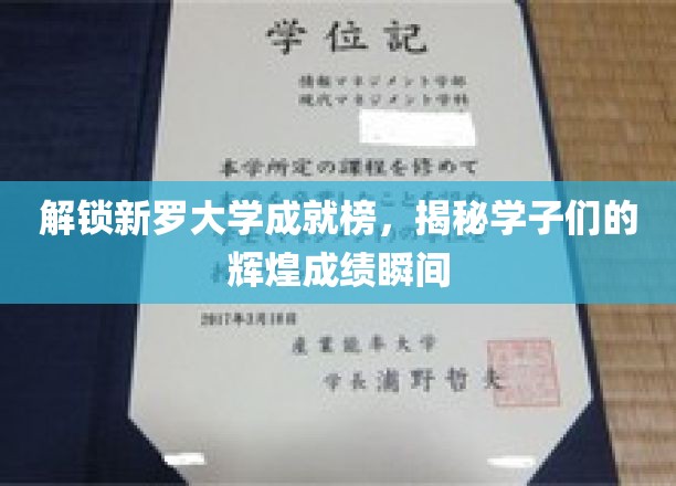 新罗大学荣耀瞬间，一窥学子们的璀璨成就风采