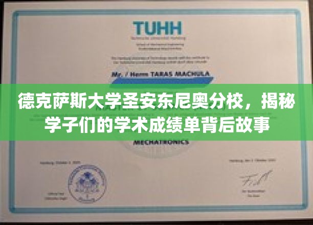 德克萨斯大学圣安东尼奥分校，揭秘学霸背后的奋斗轨迹