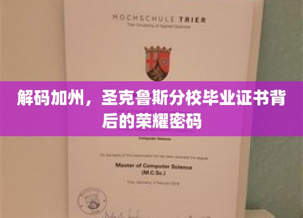 解码加州，圣克鲁斯分校毕业证书背后的荣耀密码