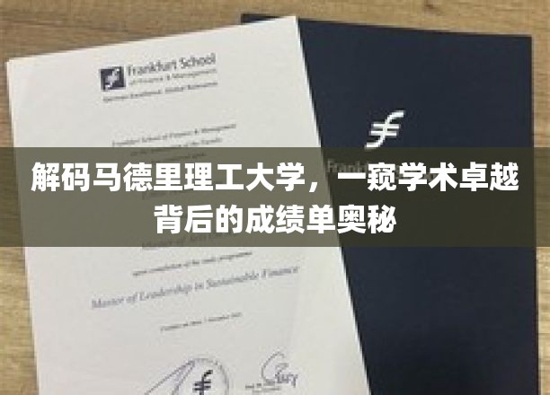 解码马德里理工大学，一窥学术卓越背后的成绩单奥秘