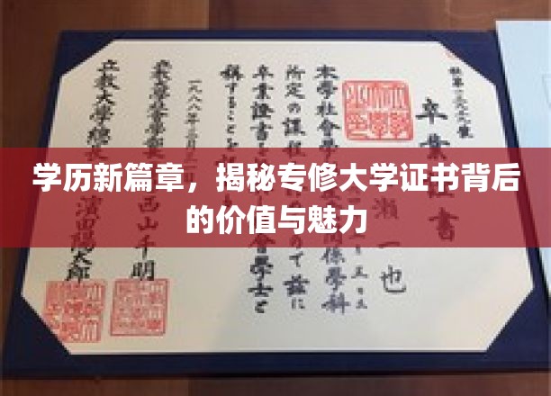 证书新纪元，专修大学文凭的潜力和吸引力大揭秘