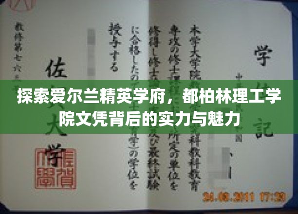 解码都柏林理工学院，精英摇篮的学术光芒与独特魅力