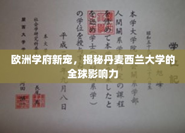 丹韵学府，全球视野，西兰大学崛起之谜