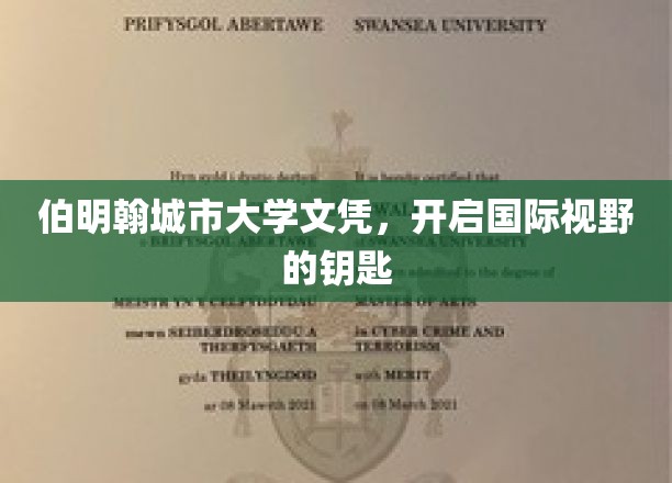 伯明翰城大文凭，解锁全球视野之旅