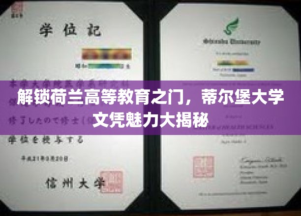 荷兰留学新宠，蒂尔堡大学学位，揭秘其非凡魅力与全球认可度