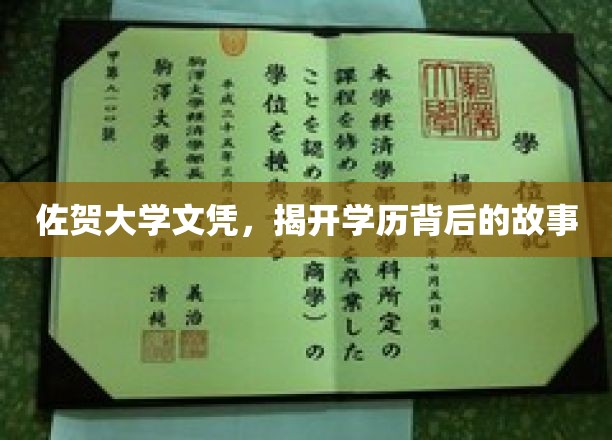 佐贺大学文凭，揭开学历背后的故事
