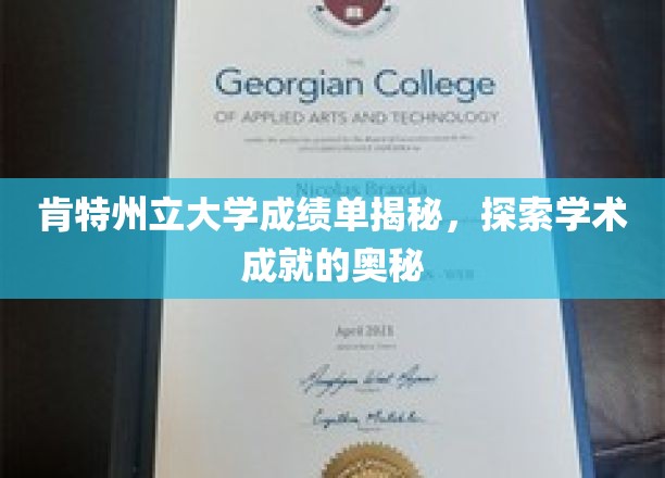 解锁肯特州立大学成绩单背后的学术密码