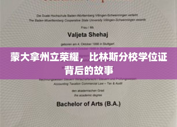 蒙大拿荣耀之谜，比林斯分校学位证的传奇溯源