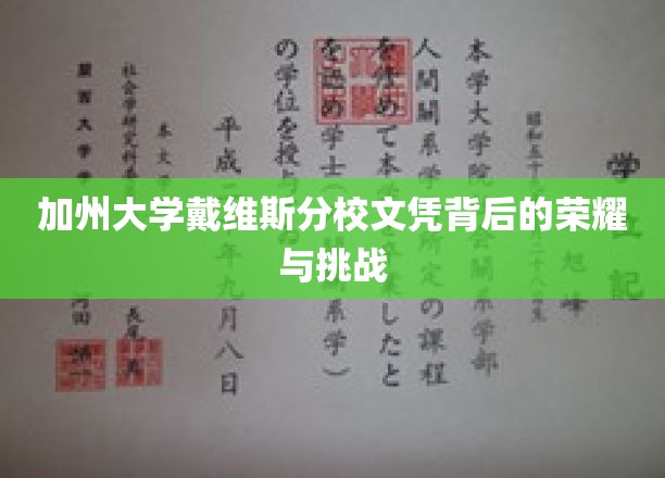 解码加州戴维斯，荣耀光环下的学术征程