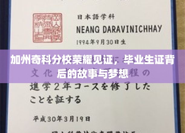 加州奇科荣耀时刻，揭秘毕业生证背后的追梦之旅
