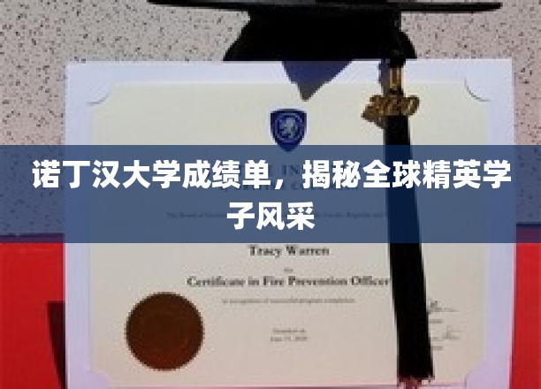 诺丁汉大学成绩单，彰显全球精英学子风采