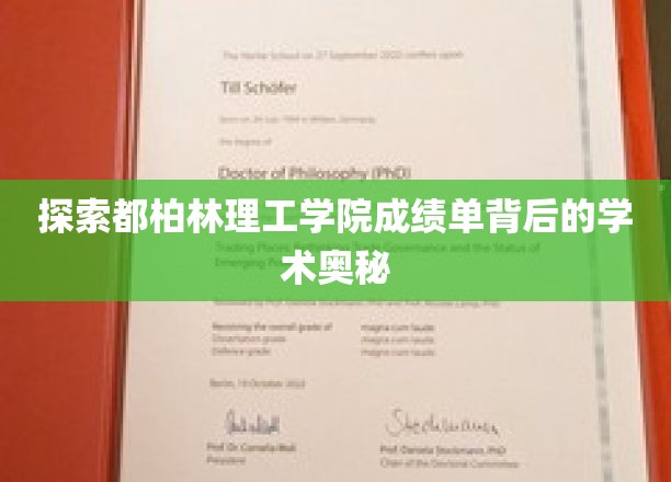 解码都柏林理工学院成绩单的学术密码