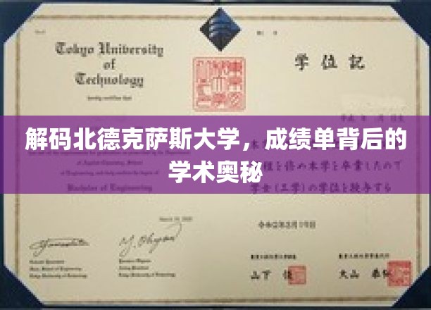 探索北德克萨斯大学，揭开成绩单背后的学术秘境