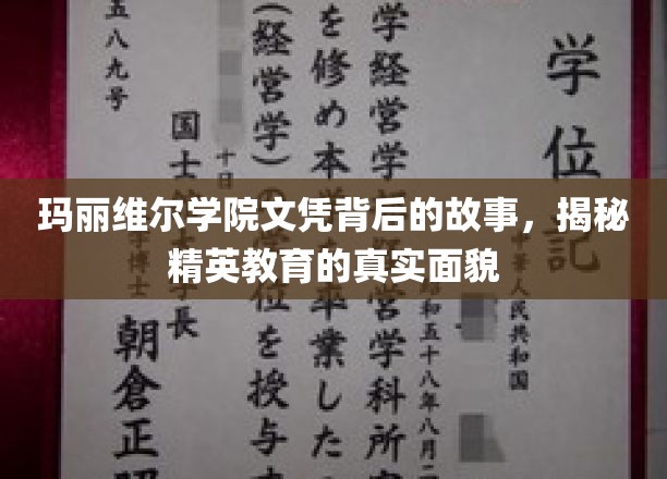 玛丽维尔学院的秘密，揭开精英教育背后的真实面纱