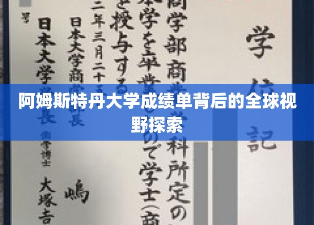 阿姆斯特丹大学成绩单背后的全球视野探索