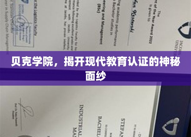 解码贝克学院，现代教育认证的革新之旅