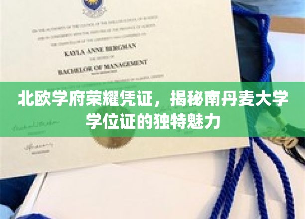 北欧学府荣耀凭证，揭秘南丹麦大学学位证的独特魅力