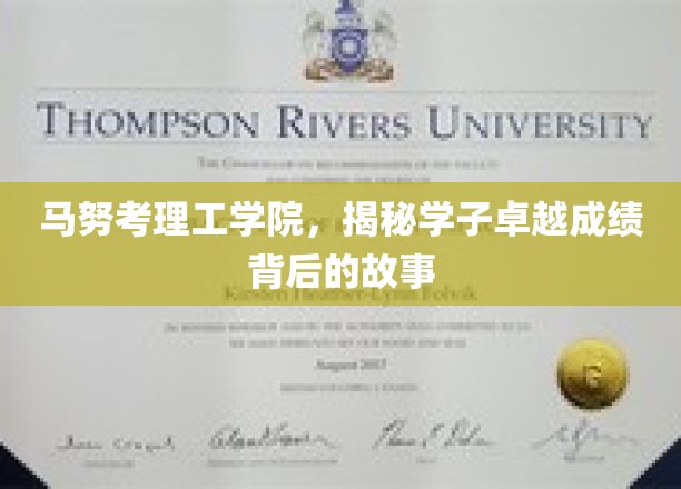 马努考理工学院，揭秘学子卓越成绩背后的故事