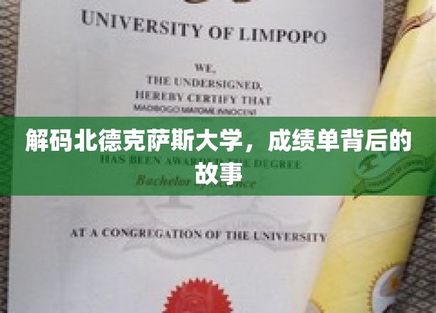 探寻北德克萨斯大学成绩单背后的秘密世界
