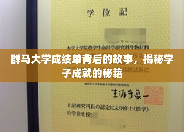 群马学子成就之谜，揭秘隐藏在成绩单背后的成长秘笈