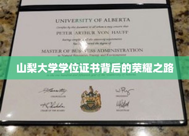 山梨大学学位证书背后的荣耀之路