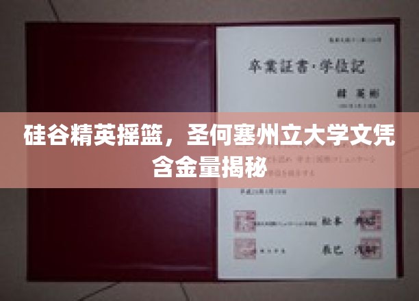 硅谷梦工厂，圣何塞州立大学学位背后的价值解码