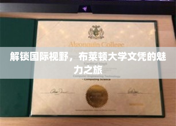 跨国梦想启航，探索布莱顿大学文凭的独特魅力