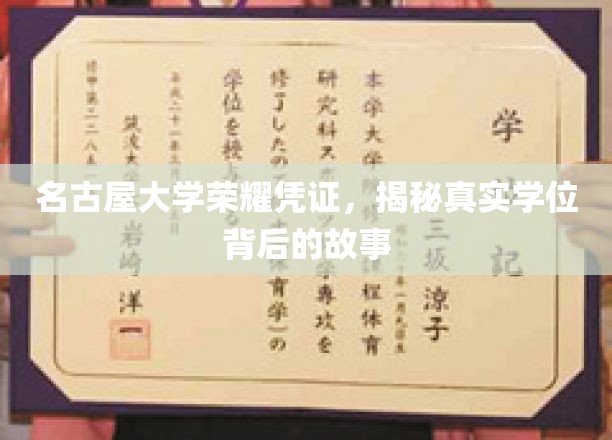 名古屋大学学位之谜，探寻荣耀凭证背后的真实传奇