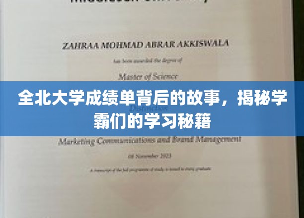 解码学霸之路，全北大学成绩单背后的非凡智慧