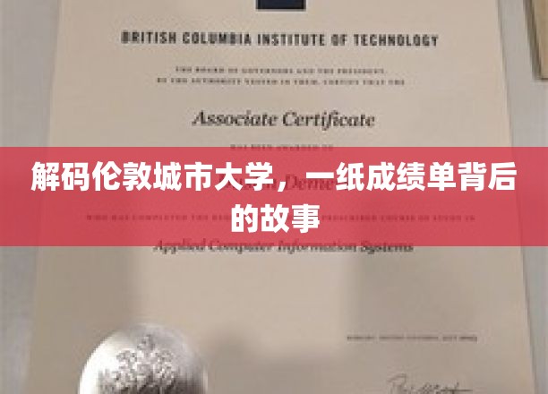 探寻伦敦城市大学，成绩单背后的精彩人生篇章