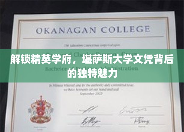 探寻精英摇篮，堪萨斯大学文凭的非凡吸引力