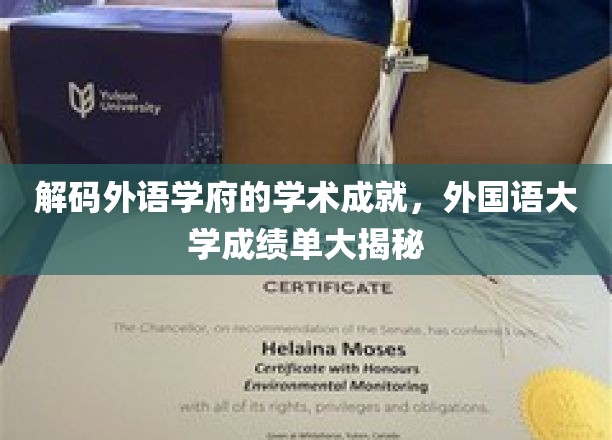外语殿堂揭秘，外国语大学耀眼成绩单背后的秘密力量