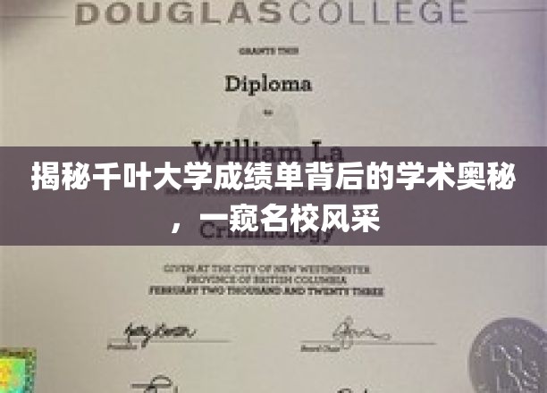 揭秘千叶大学成绩单背后的学术奥秘，一窥名校风采