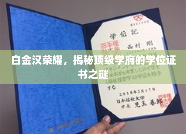 白金汉荣耀，揭秘顶级学府的学位证书之谜