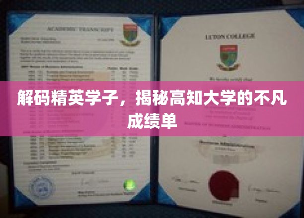解码精英学子，揭秘高知大学的不凡成绩单