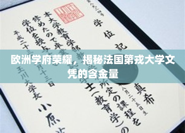 欧洲精英摇篮，探寻法国第戎大学学位的珍贵价值