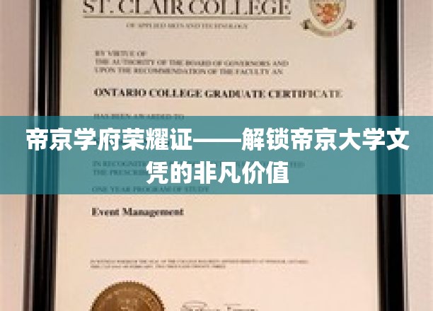帝京文凭传奇，揭秘学府荣耀背后的无限可能