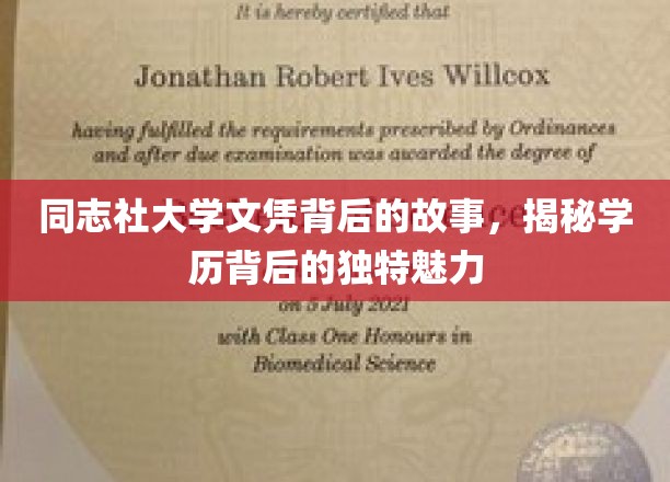 解码同志社大学，文凭背后的传奇与魅力