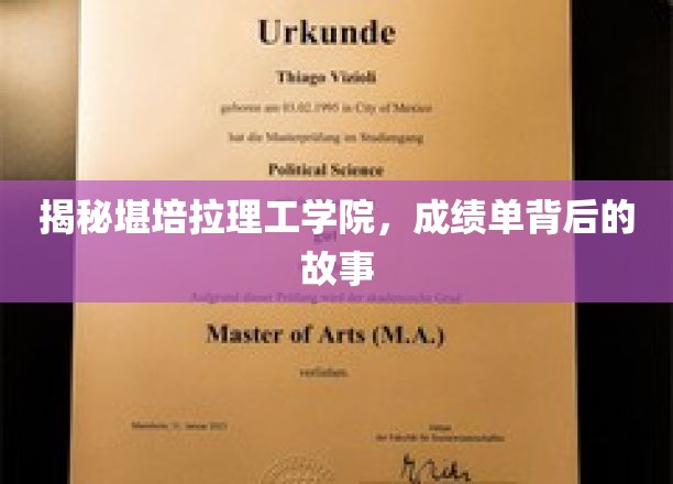 解码堪培拉理工学院，揭开成绩单背后的真实轨迹