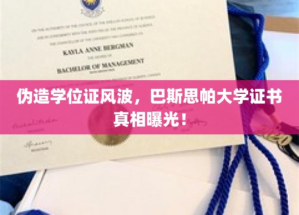 伪造学位证风波，巴斯思帕大学证书真相曝光！