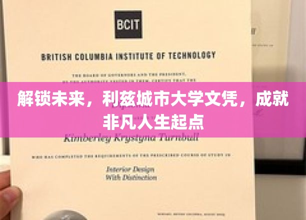 解锁未来，利兹城市大学文凭，成就非凡人生起点