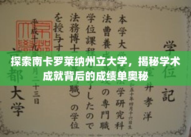 探索南卡罗莱纳州立大学，揭秘学术成就背后的成绩单奥秘