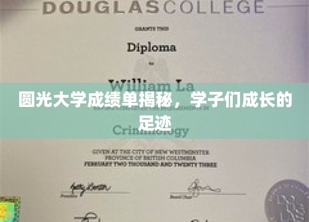 圆光学子足迹，揭秘大学成绩单背后的成长故事