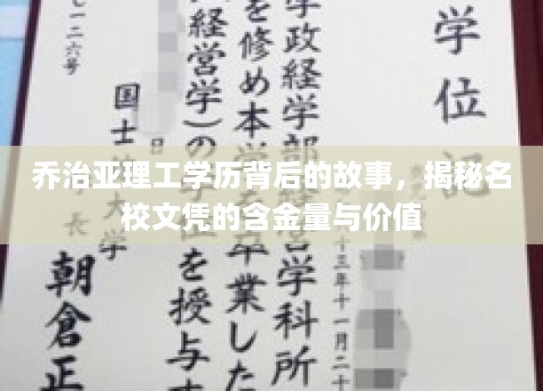 揭开乔治亚理工光环，名校学历的内在价值与真实面貌